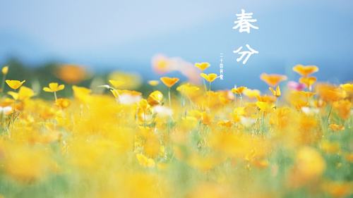 上禾科技